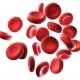 Human red blood cells